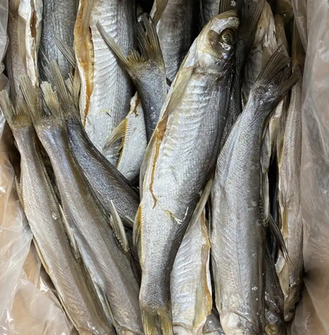 咸翘嘴50斤/箱