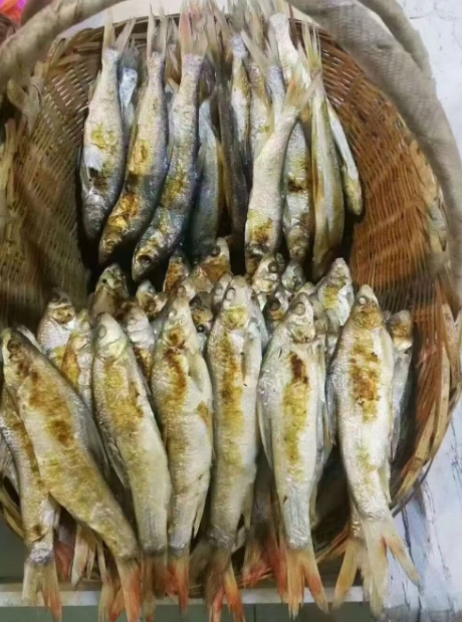 火焙鱼