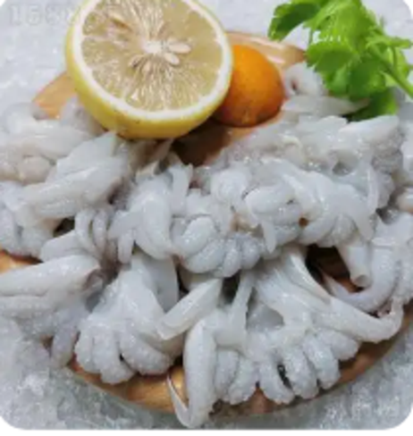 捞妹 海菊花1*12包