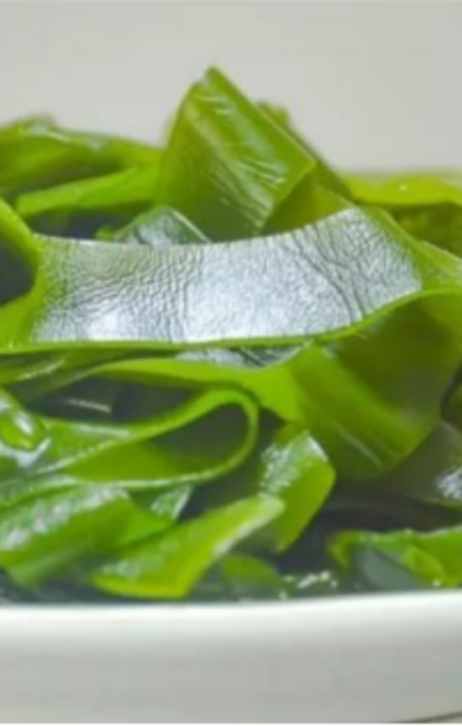 东洛岛 冷鲜海带片 500g*20包
