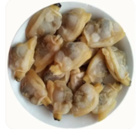 捞妹 单冻蛤蜊肉1*20包