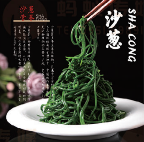冠名食品 沙葱40包/件