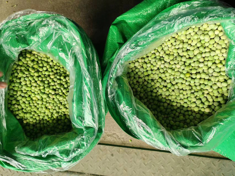 富菉食品 青豆（干货） 10kg/箱