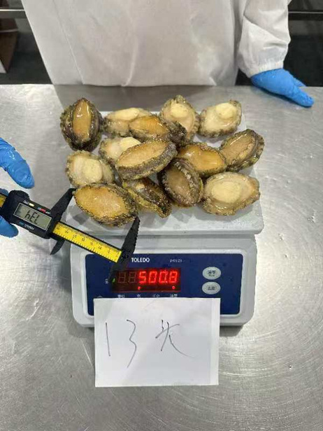 捞渔仔 13头鲍鱼20斤/件