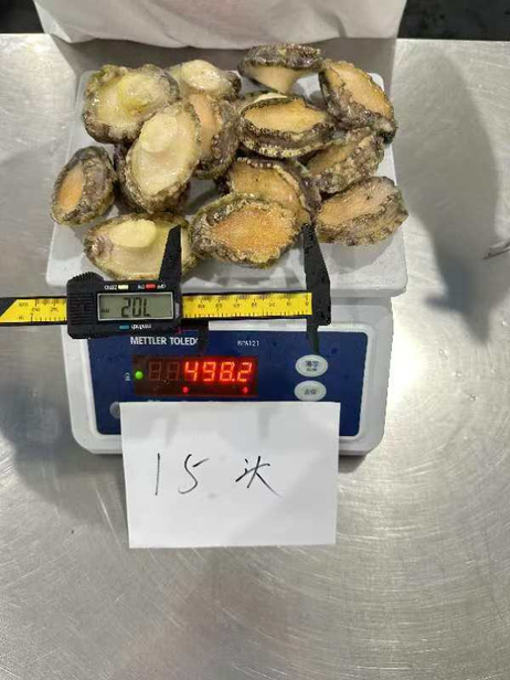 捞渔仔 15头鲍鱼20斤/件