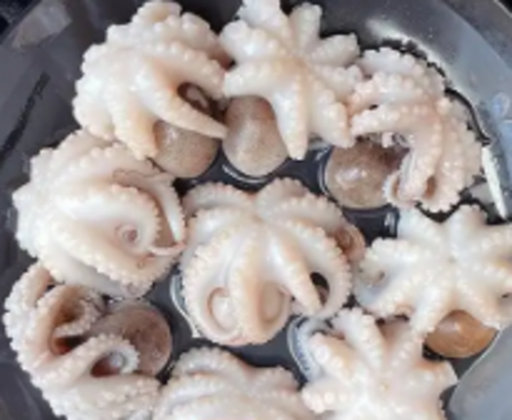 四方缘 深海小八爪350克*28包